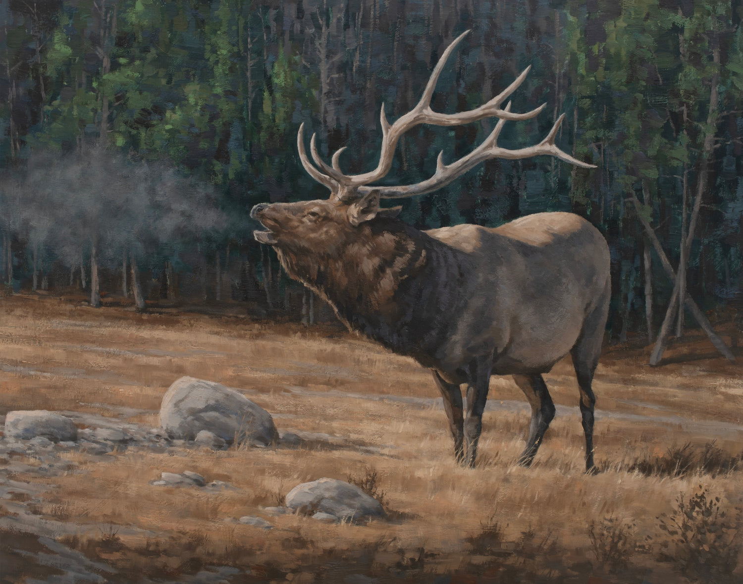 Wildlife Fine Art Prints