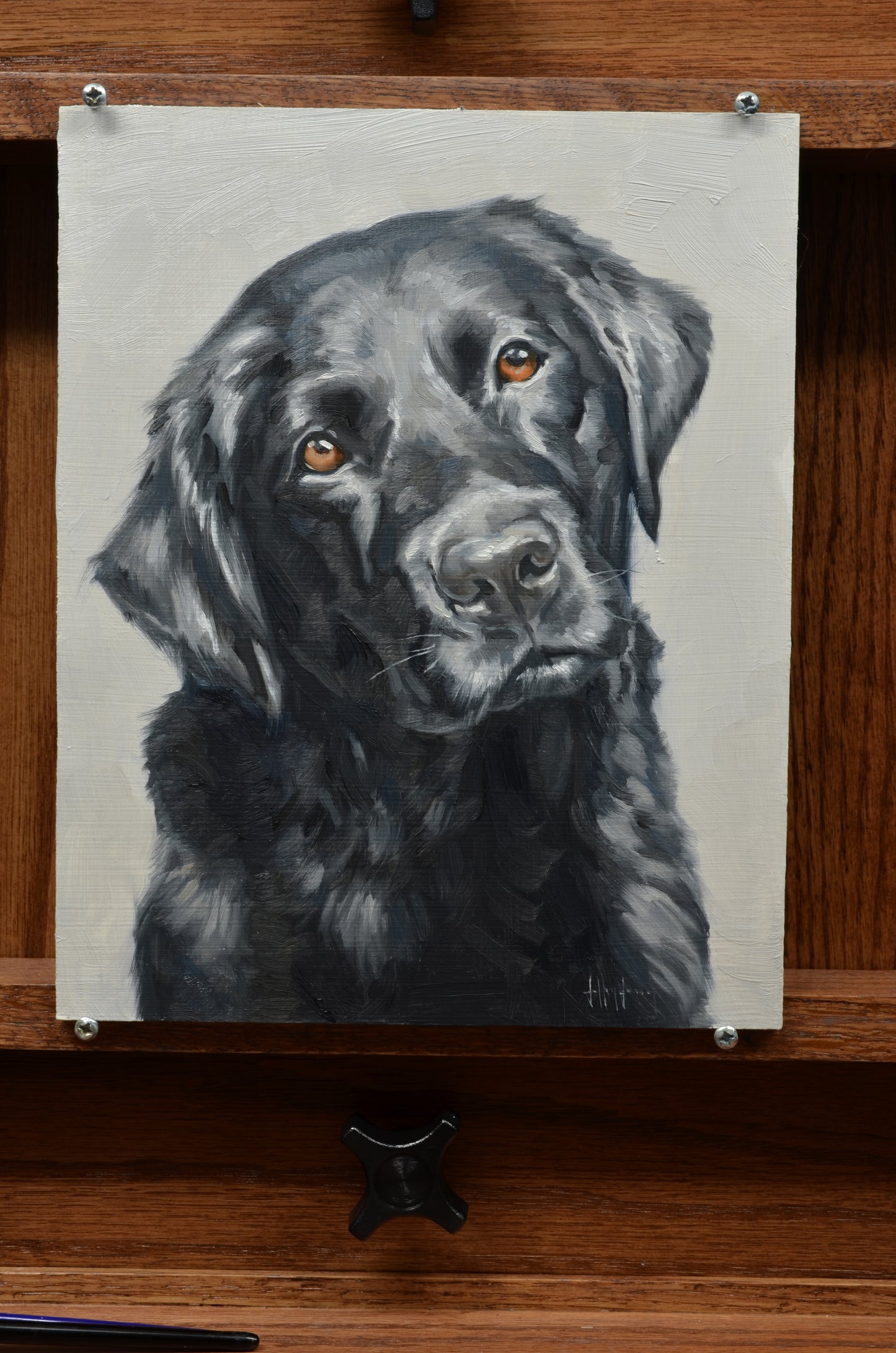 Custom Dog Portrait Oil Painting