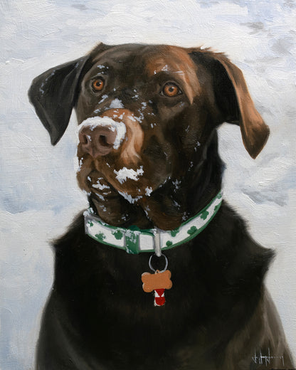 Custom Dog Portrait Oil Painting