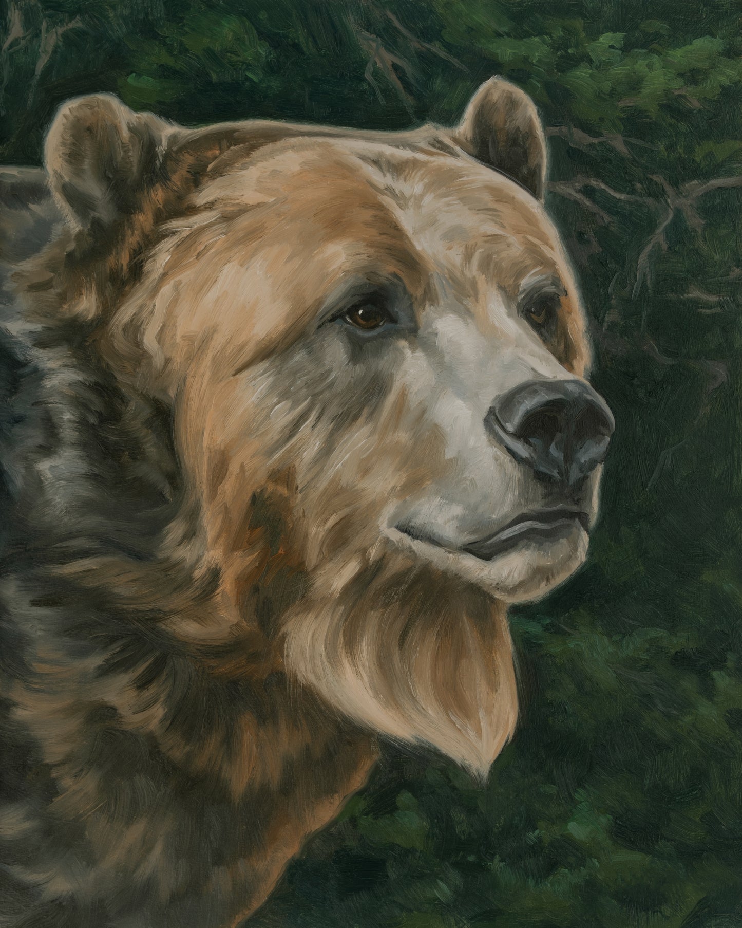 Portrait of a Grizzly Bear