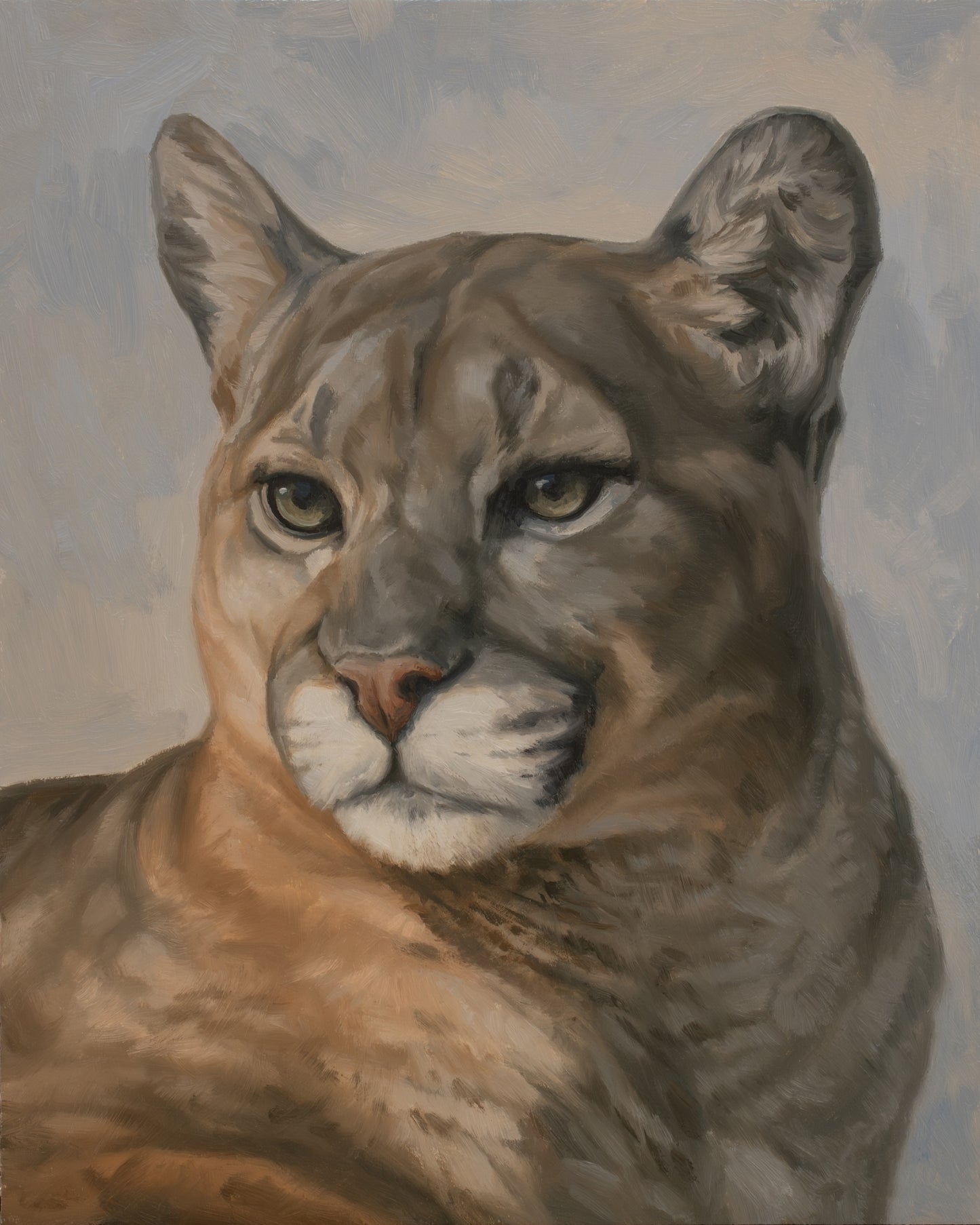 Portrait of a Mountain Lion Print