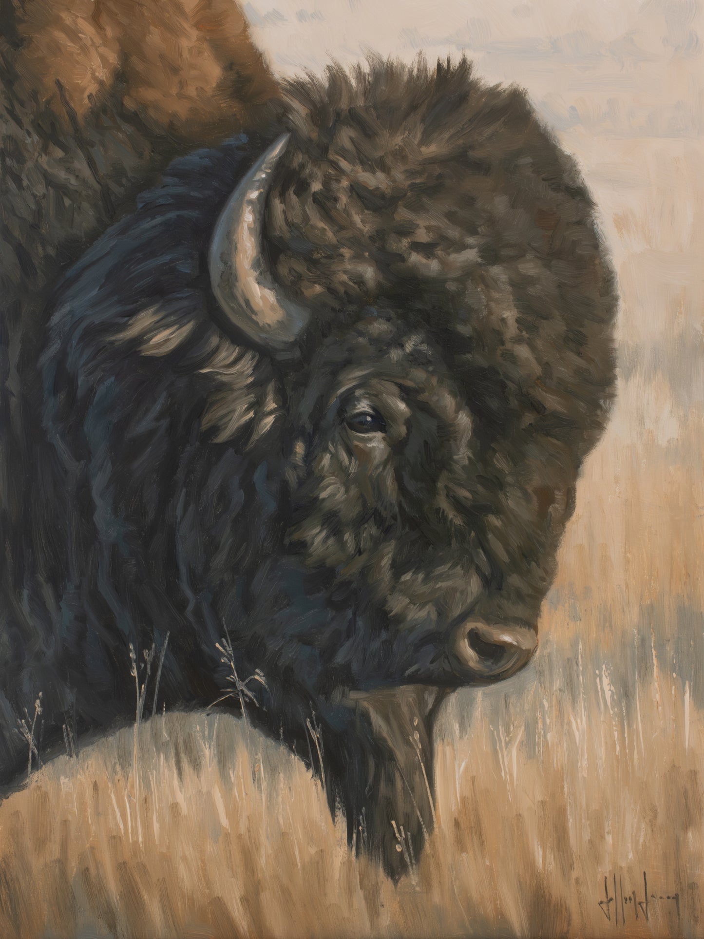 Portrait of a Bison in Summer